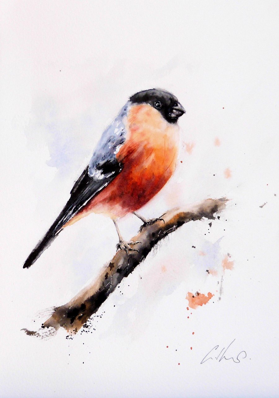 A Bullfinch, Professional Giclée Print.