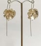 Rough Hawkbit drops, Hawkweed - Image 2