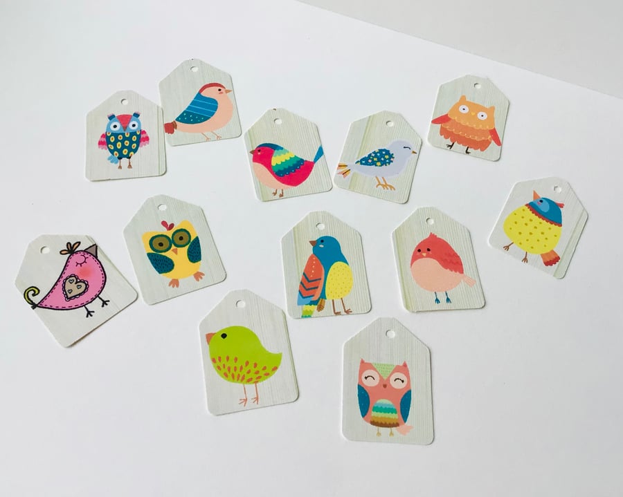 Mini Gift Tags,Message Tags,Pk of 30,Feathered Friends Themed Tags