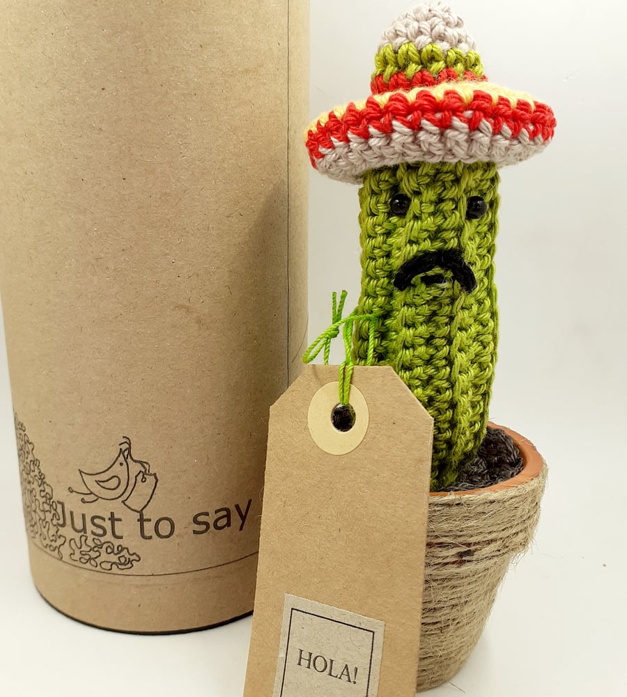 Crochet Cactus in a Sombrero