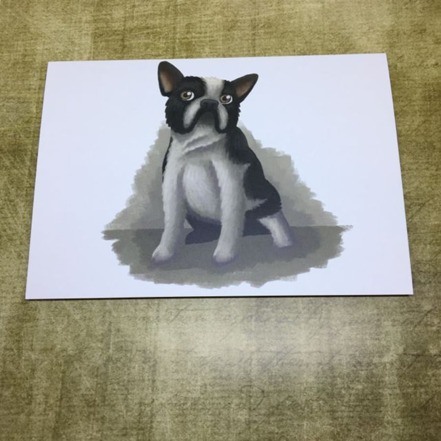 French Bulldog Blank Greeting Card