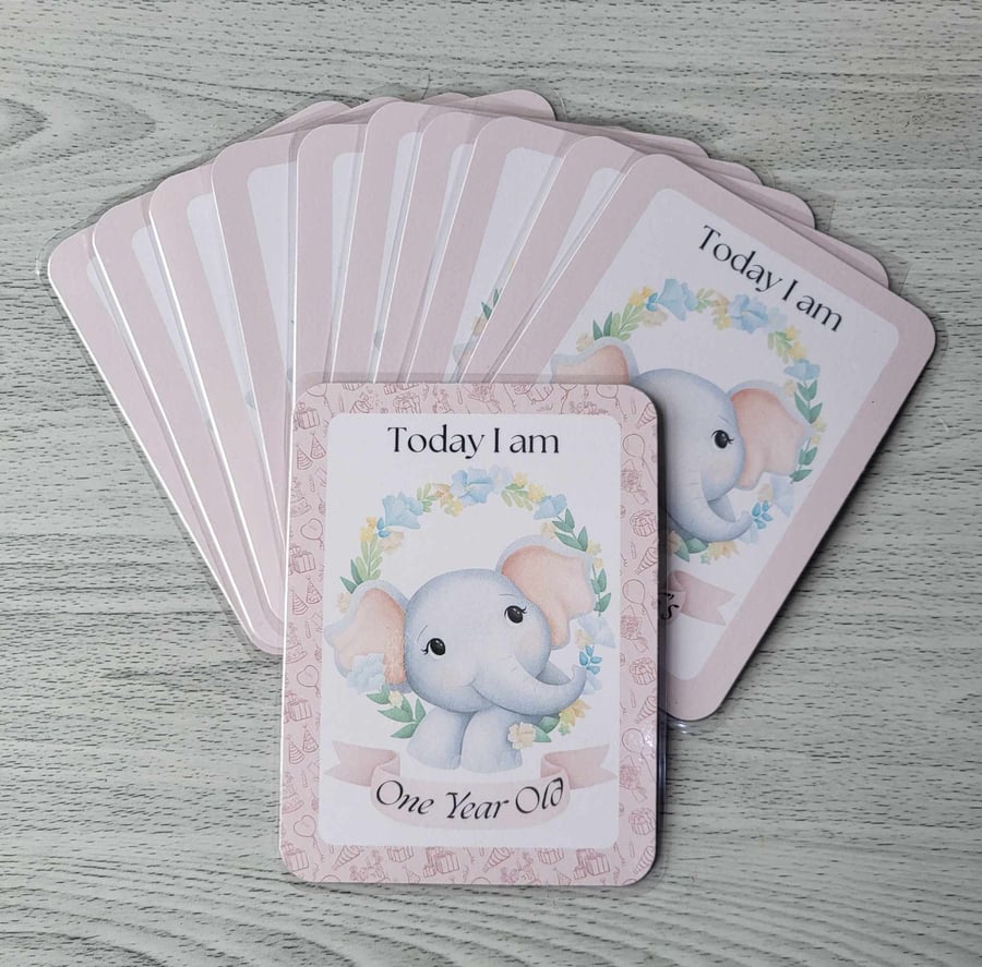 Elephant Design Twelve New Baby Milestone Cards