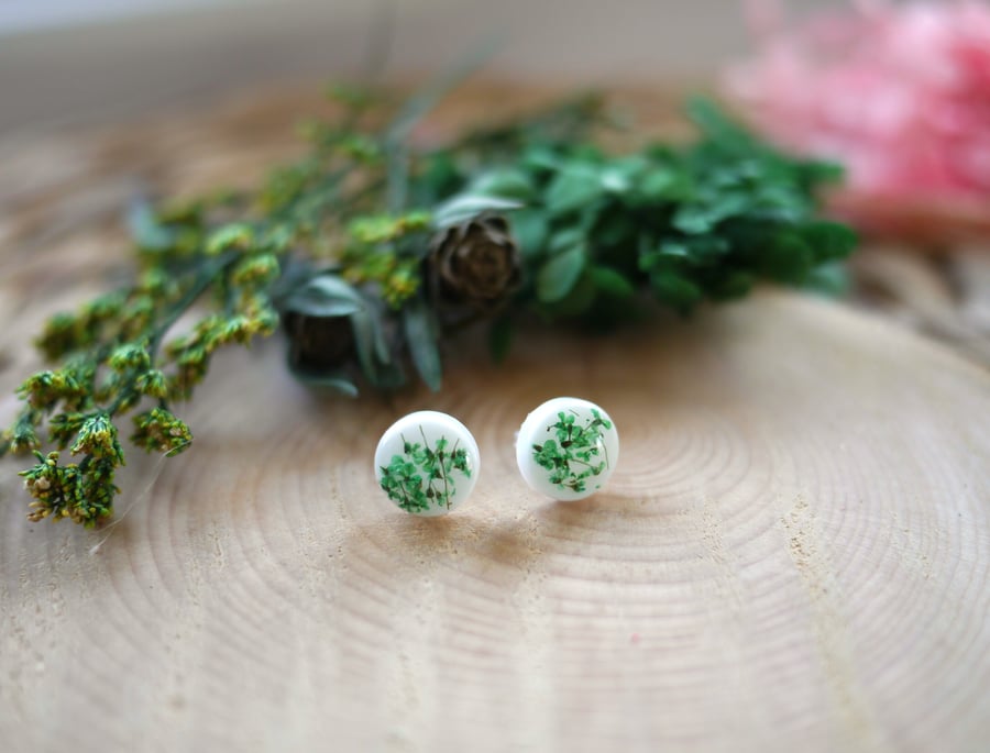 Dried Green Pressed Flowers in Resin with Sterling Silver Stud Earrings