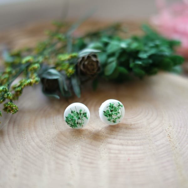 Dried Green Pressed Flowers in Resin with Sterling Silver Stud Earrings