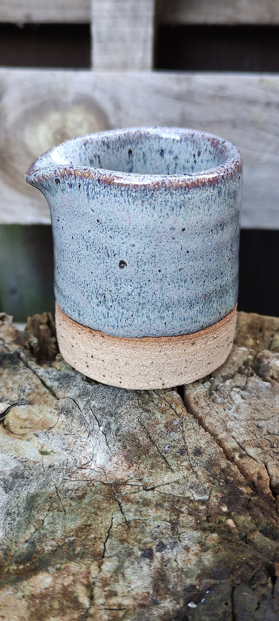 Diddy speckled jug (Burns)