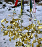 Bunch of Brass Mistletoe - Image 2