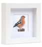 Chaffinch, little 3D fabric chaffinch picture framed, chaffinch gift