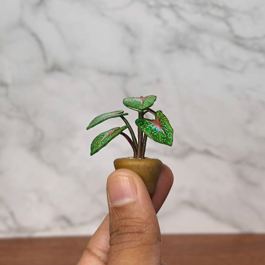 Miniature Caladium Plant - Handmade, 1:12 Scale, Dollhouse plant