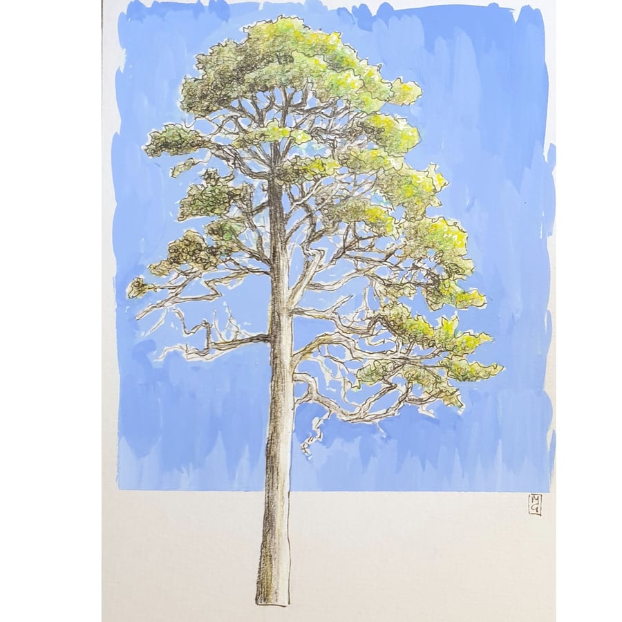 Tree in Summer foliage - Original drawing, tree artwork