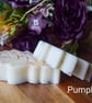Pumpkin Pie Vegan Wax Melt - Image 2