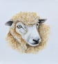 Romney Ewe Sheep Acrylic Portrait Painting  - Image 2