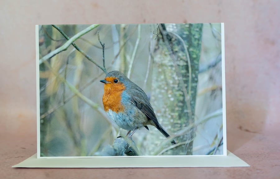 Reg the Robin Blank A6 Card