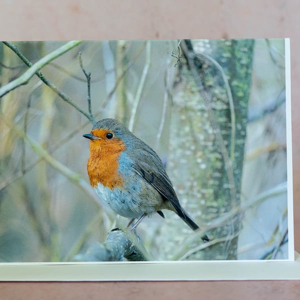 Reg the Robin Blank A6 Card