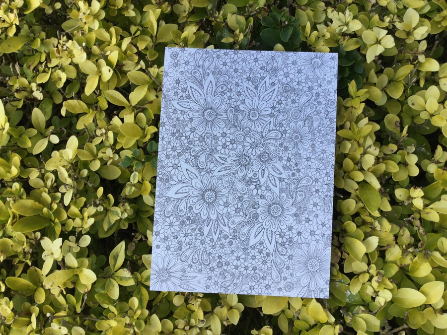 Colour your own postcard 'all over floral pattern'