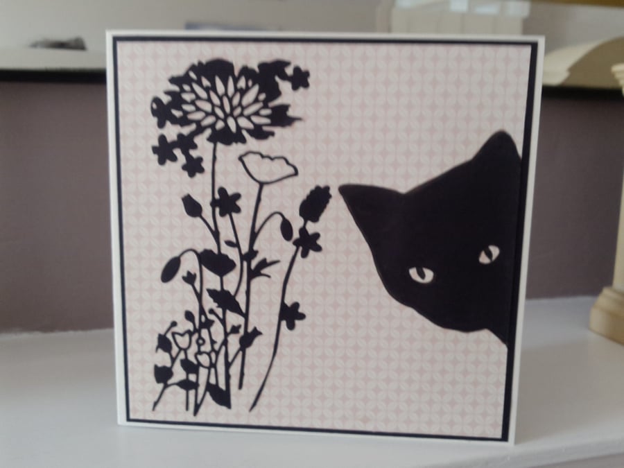 Open black cat card