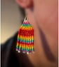 Festival vibe rainbow earrings