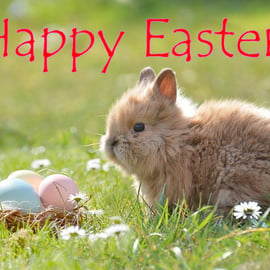 A5 Card Easter Cute Baby Rabbit 