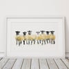 Limited Edition Sheep Watercolour Painting Signed Sheep Print