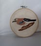 British Bird Jay  NEW REDUCED PRICE - Image 2