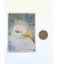 Original ACEO  Seagull Portrait Miniature Painting, Watercolour  - Image 4