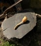 Sycamore Cooking Scoop - Image 4