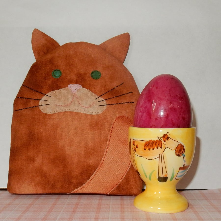 Egg Cosy ginger cat