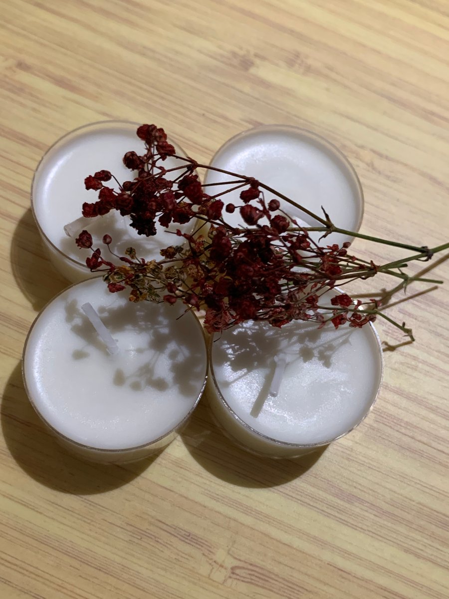 6 Soy Wax Essential Oil Tealight Serene Gardenia 