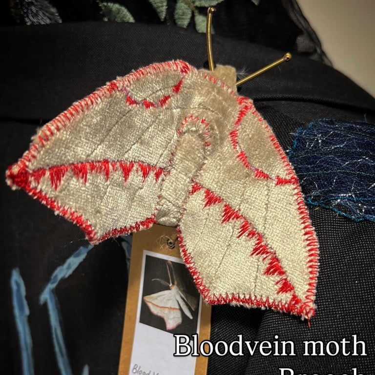 Bloodvein moth brooch