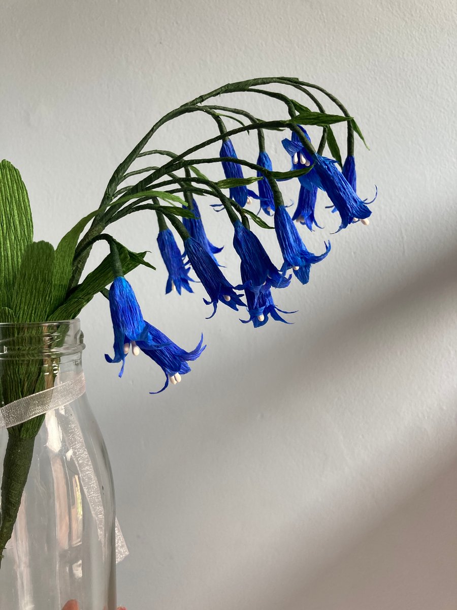 Paper bluebells 