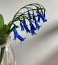 Paper bluebells  - Image 1