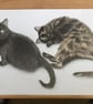 A3 Custom pet portrait for two pets made with coloured pencil - Image 6