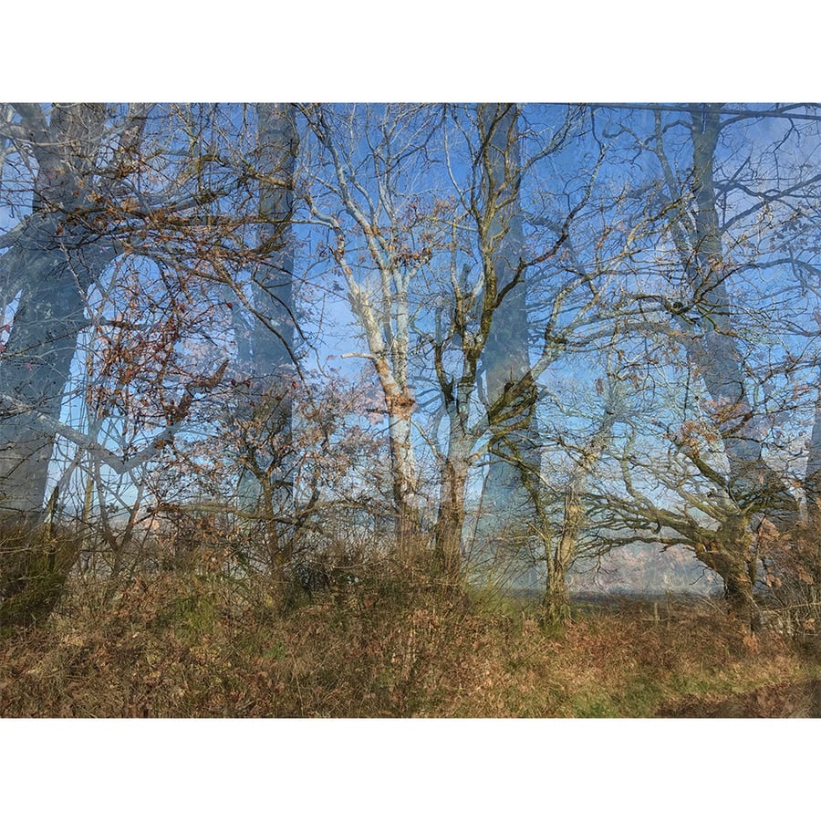 'Winter Day, Cefn Gorwydd'