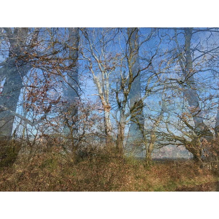 'Winter Day, Cefn Gorwydd'