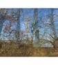 'Winter Day, Cefn Gorwydd'