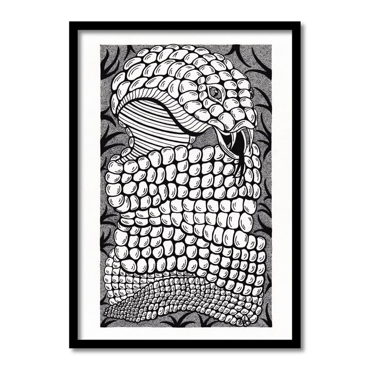 Cobra Snake Original Art Pen And Ink Drawing