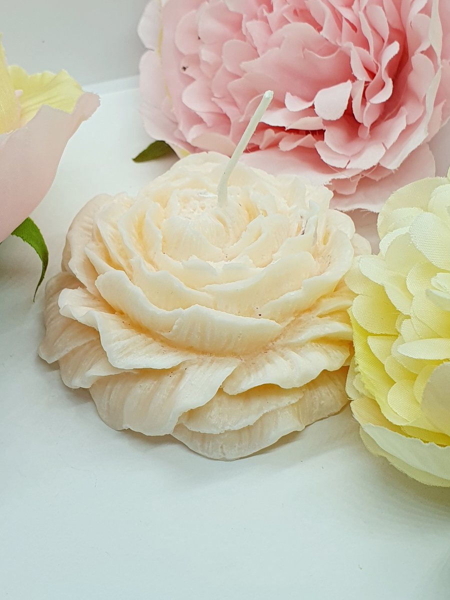Waxandflora