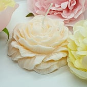 Waxandflora