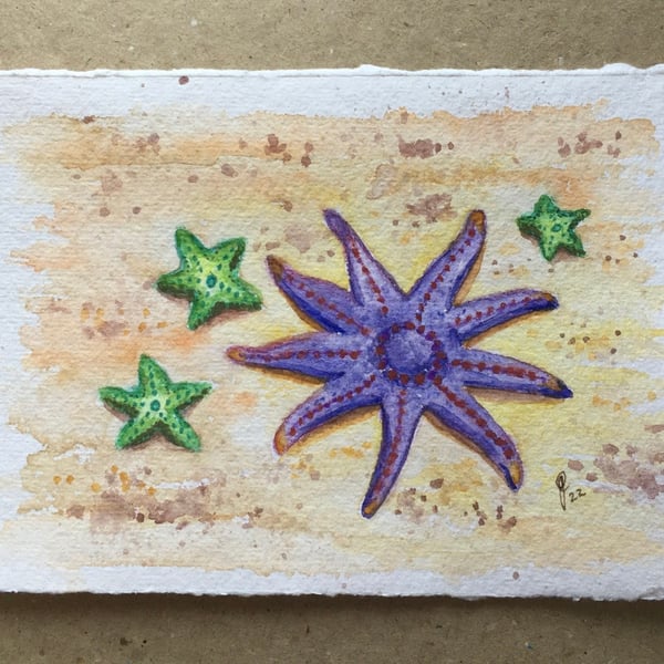 Purple starfish original painting 