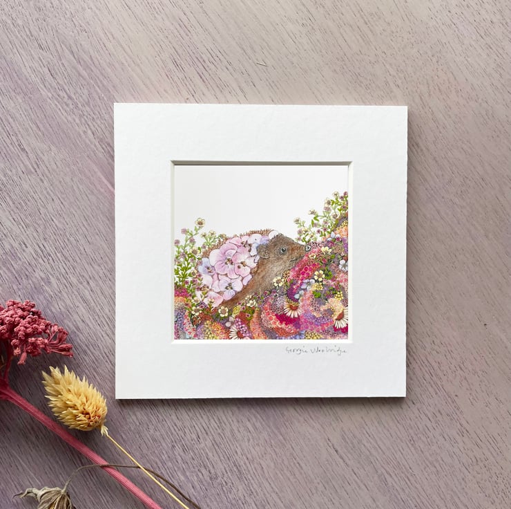 Gifts for Hedgehog Lovers