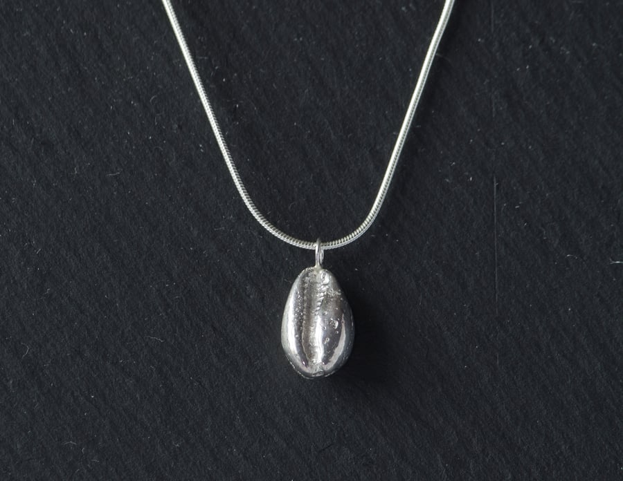 Silver cowrie shell necklace