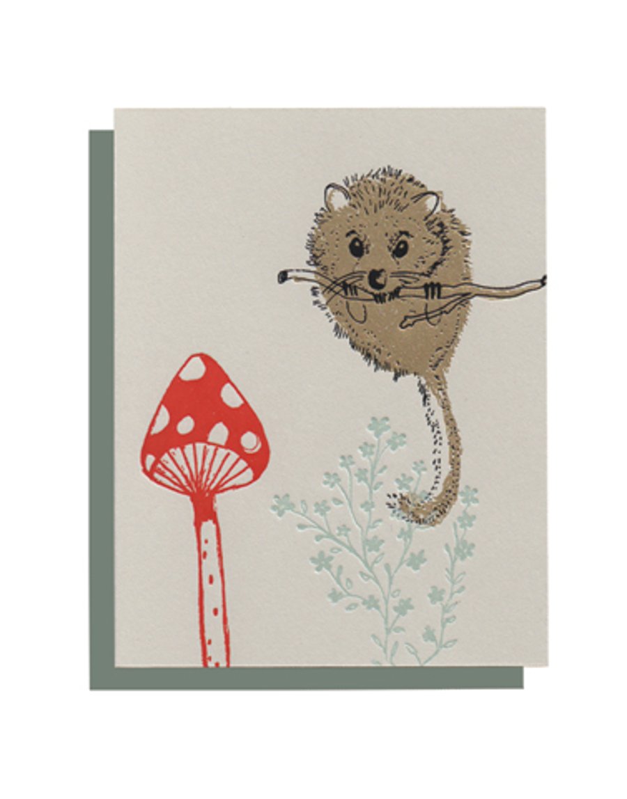 X 4 CARDS : Squirrel , Dormouse , Fawn , Thank You
