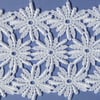 White Lace Daisies