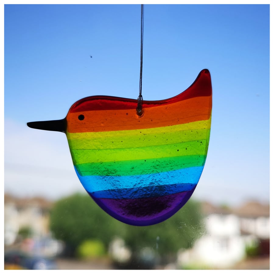 small rotund 'Rainbow Wren of Hope' bird with red head and tail