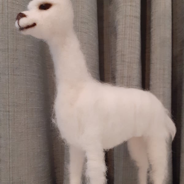  SNOWDROP Llama sculpture ooak,collectable needle felted wool 