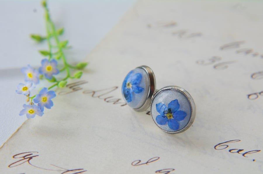 minimalist stainless steel stud earrings with real forget me not flowers