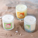 Natural Soy Wax & Essential Oil Candle Bundle