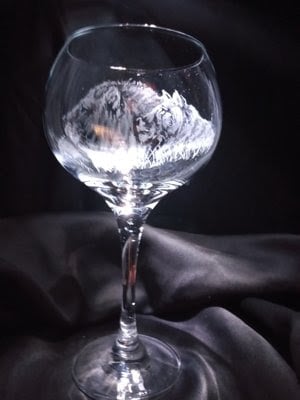 Two Lions on a Wineglass