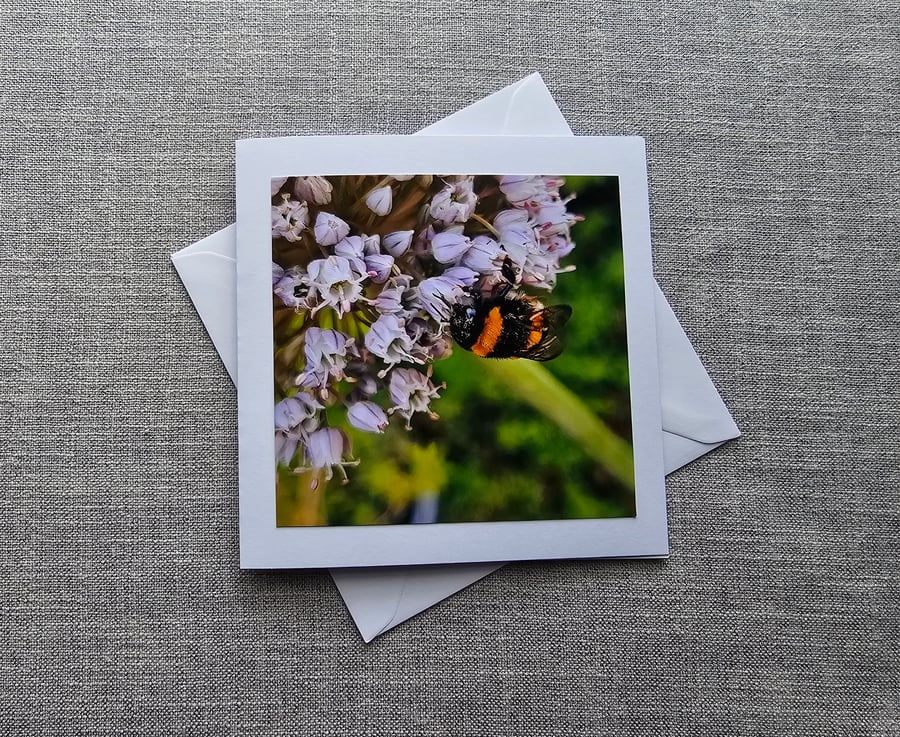 Bee on Leek Flower in the Garden Square Photographic Card Size 6" x 6" 