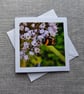 Bee on Leek Flower in the Garden Square Photographic Card Size 6" x 6"  - Image 1