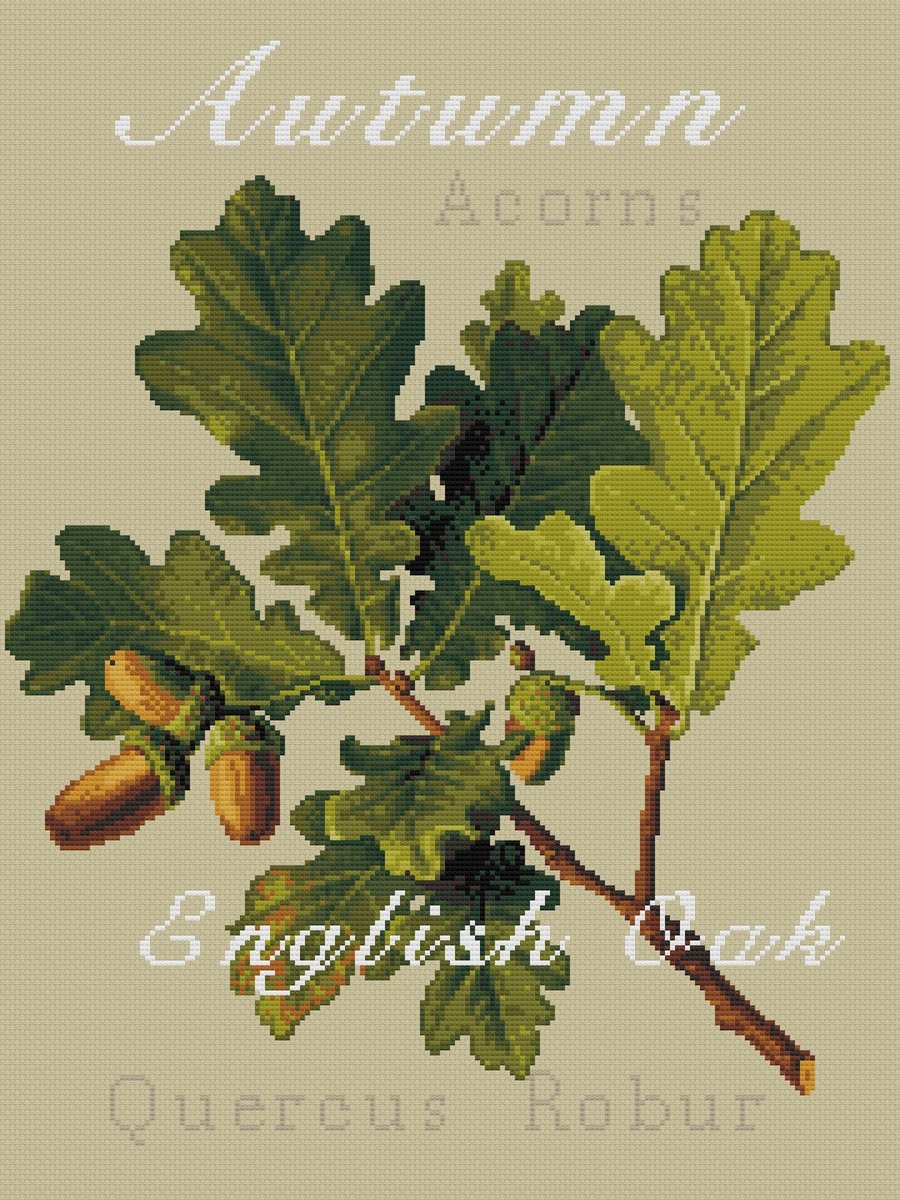 036 - Rustic English Oak and Acorns - Cross Stitch Pattern